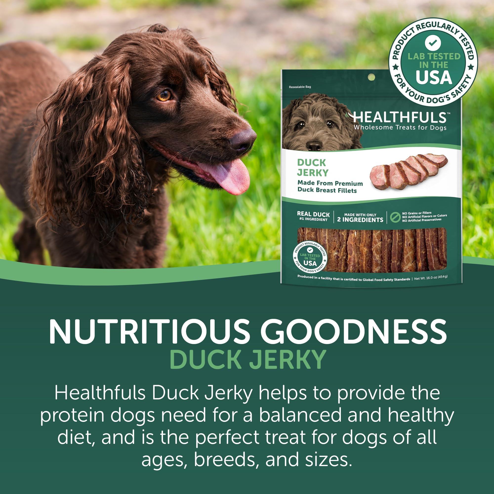 HEALTHFULS single duck jerky fillet close-up showing lean protein texture