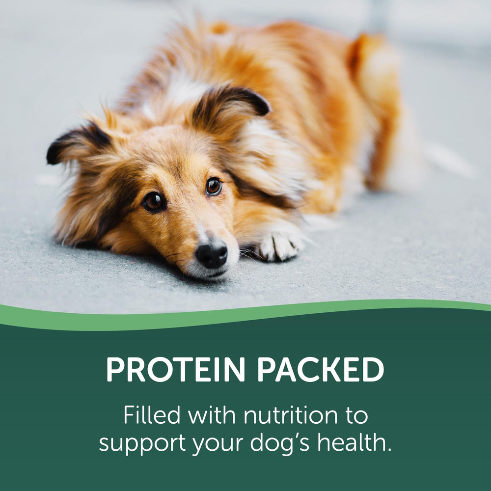 HEALTHFULS detailed texture of jerky emphasizing natural, chewy consistency