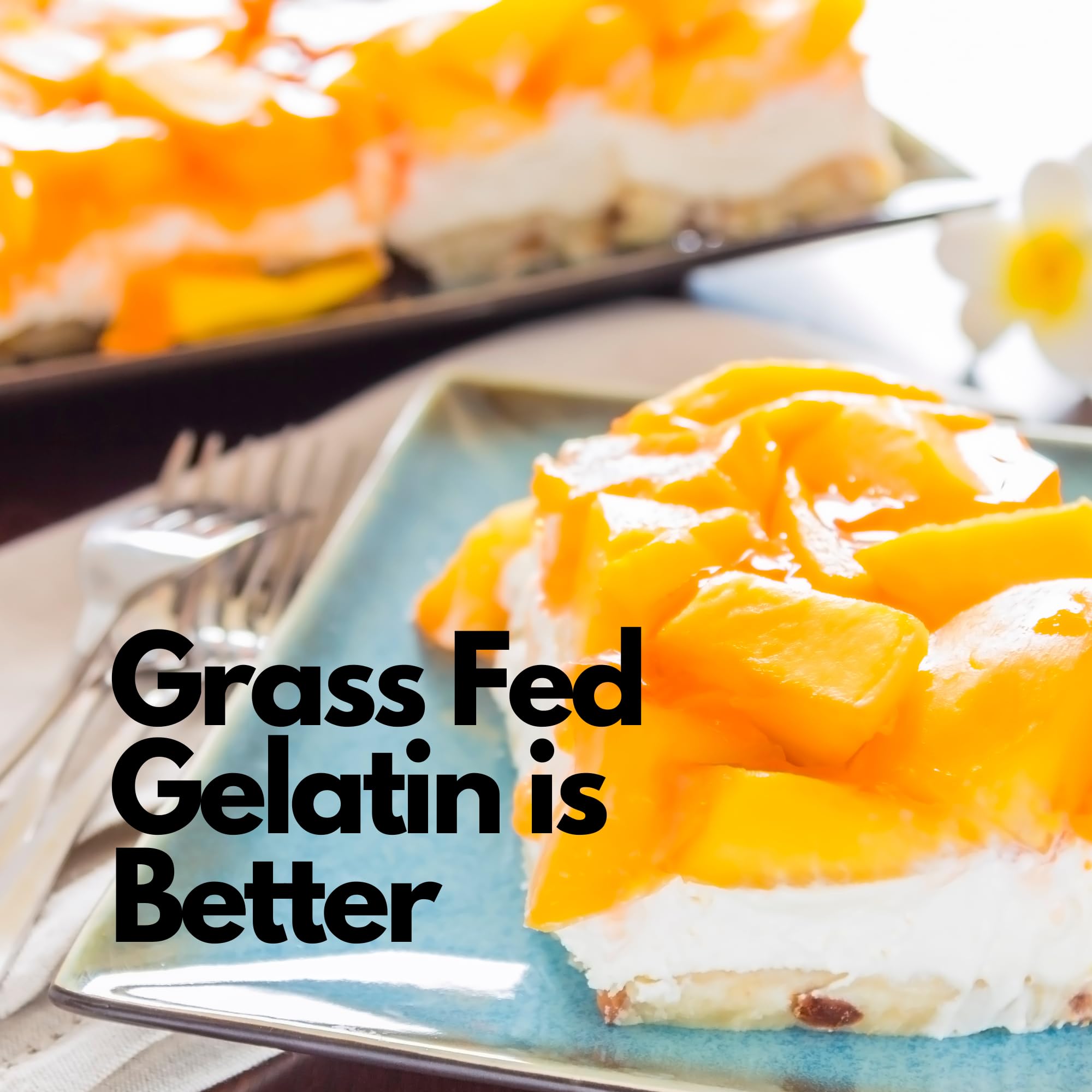Hearthy Foods gelatin used in panna cotta showing stable, glossy dessert set