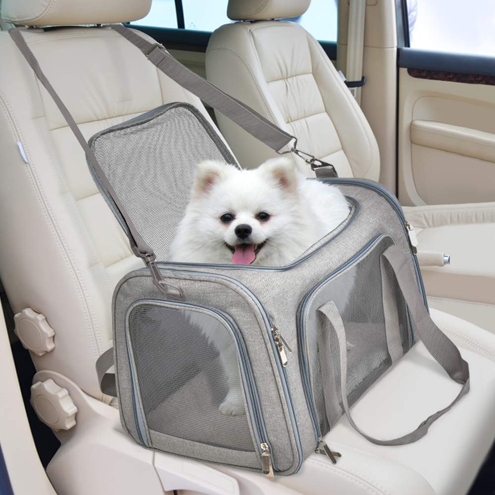 Henkelion secured in car with seatbelt showing safe transportability
