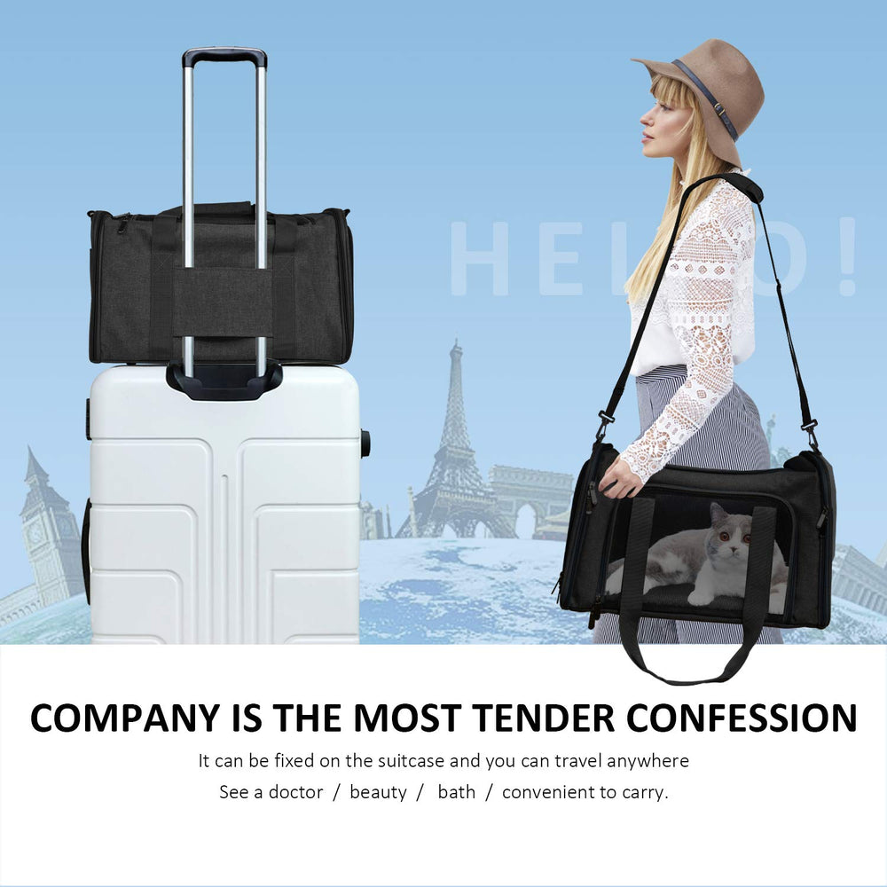 Henkelion interior with small dog resting showing padded base comfort