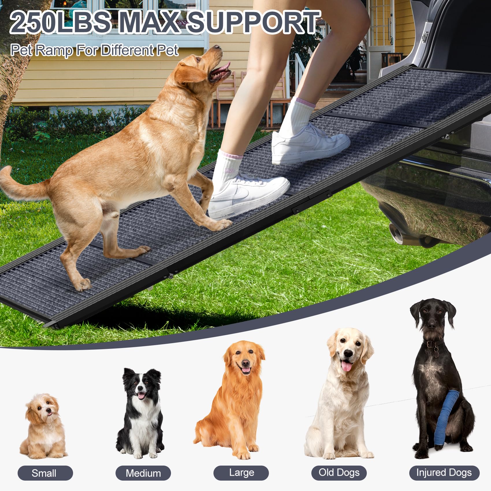 HerCcreta wigge full length open, long gentle incline for pets