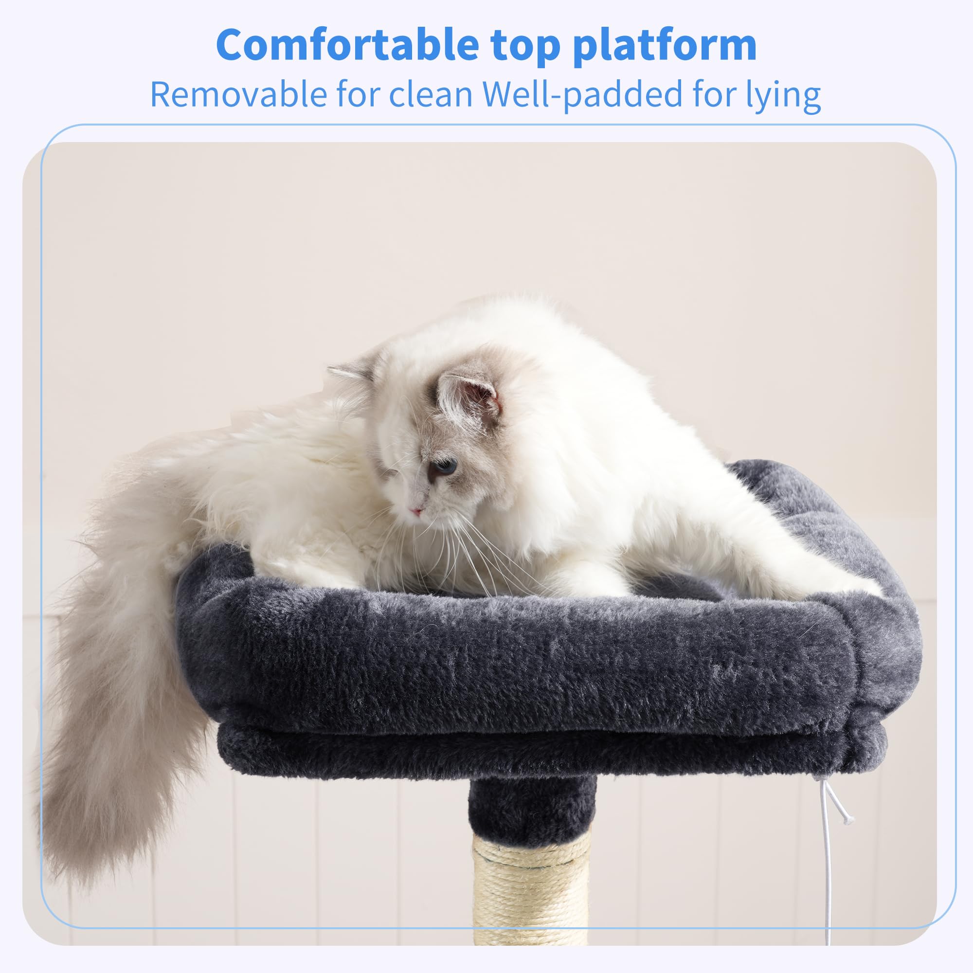 Heybly top perch close-up with padding for comfortable naps and observation