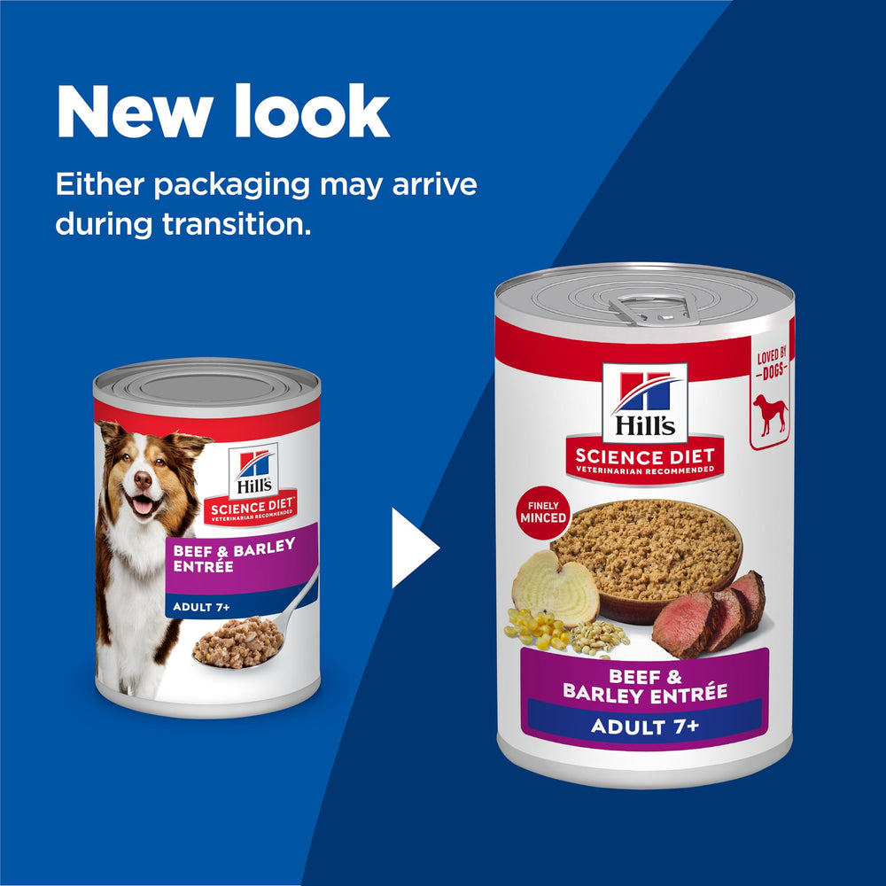 Hill's Science Diet wet food close-up highlighting moist texture for palatability