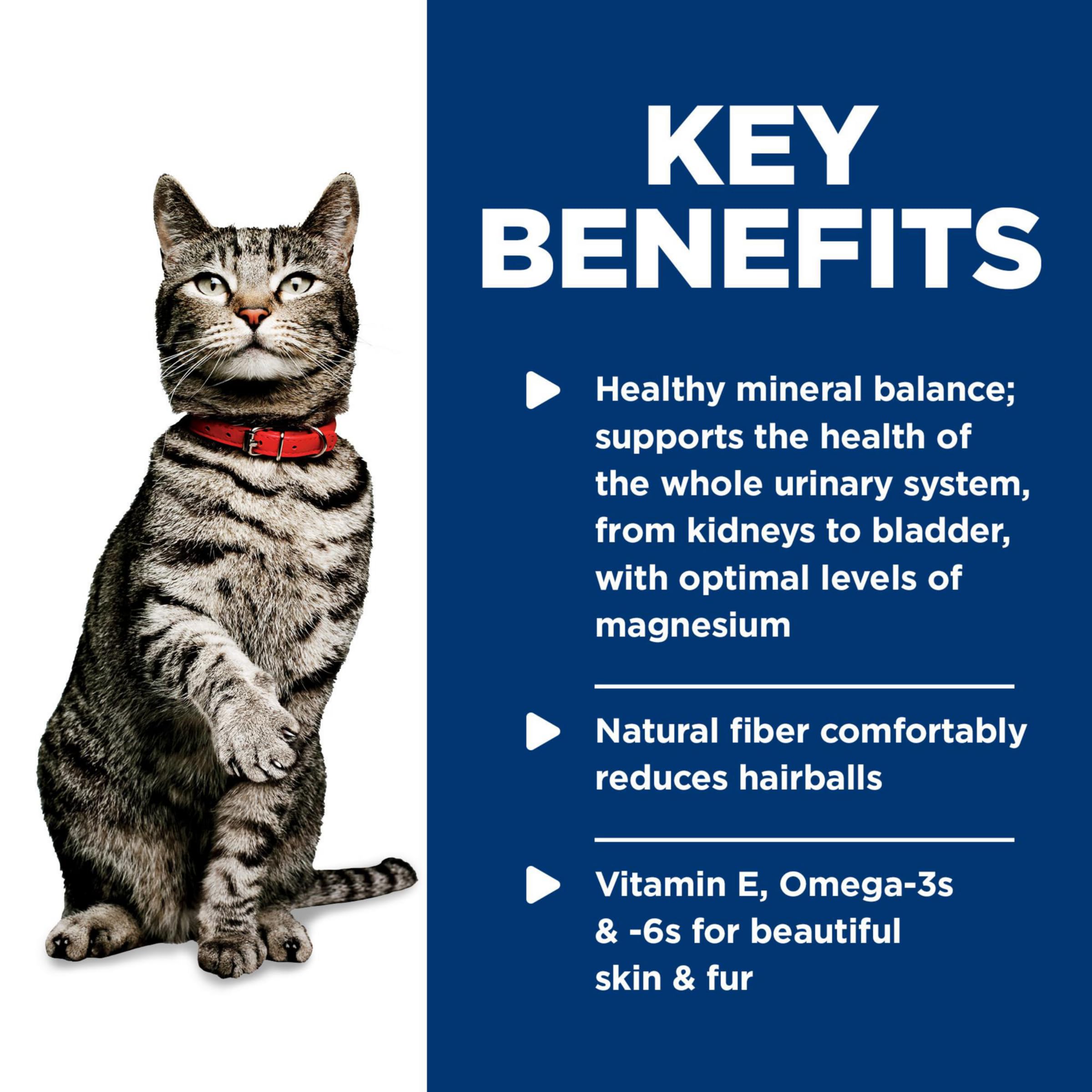 Hill's Science Diet cat eating from bowl, promoting urinary hydration benefits