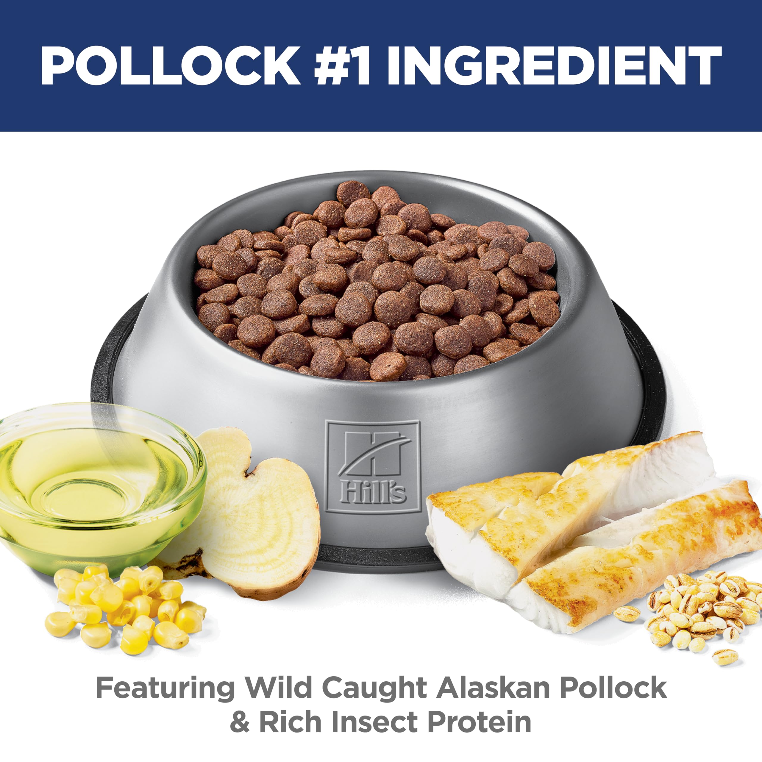 Fresh pollock fillet ingredient image highlighting Hill's high-quality protein