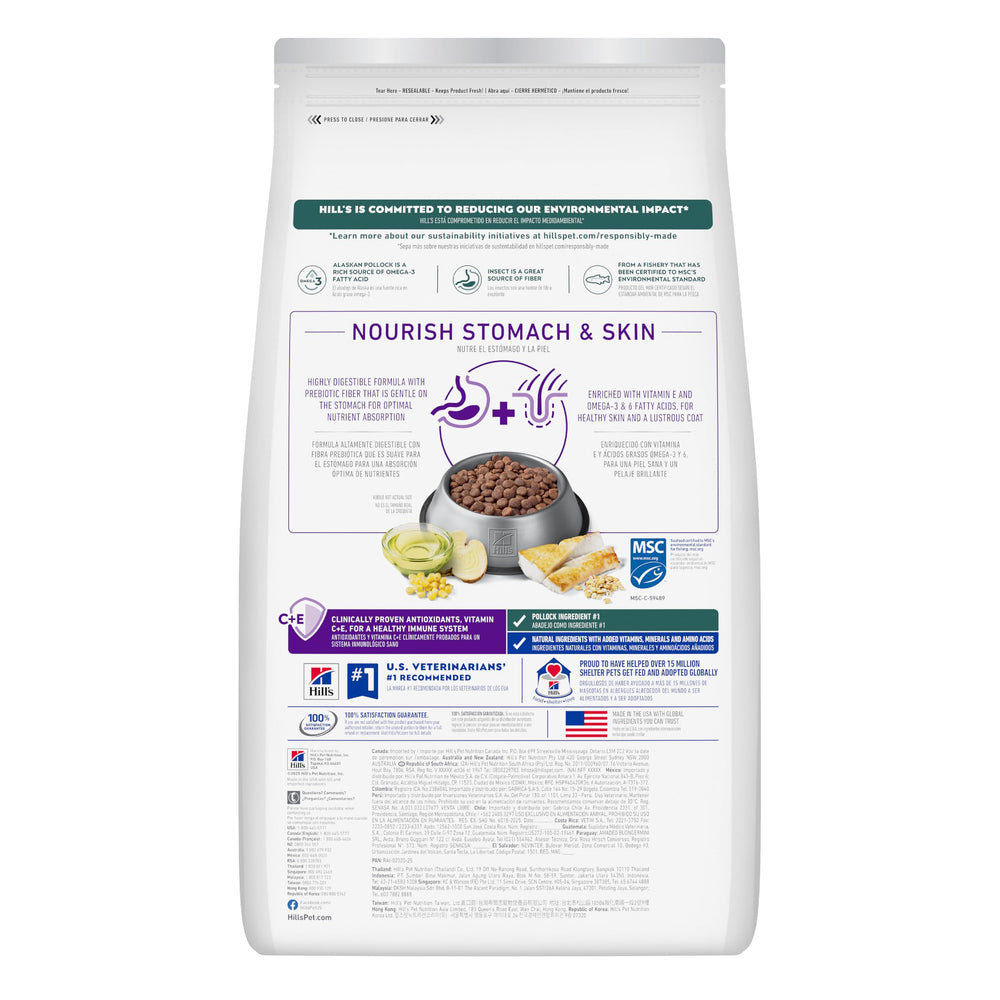 Close-up of Hill's kibble texture revealing digestible formula and bite size