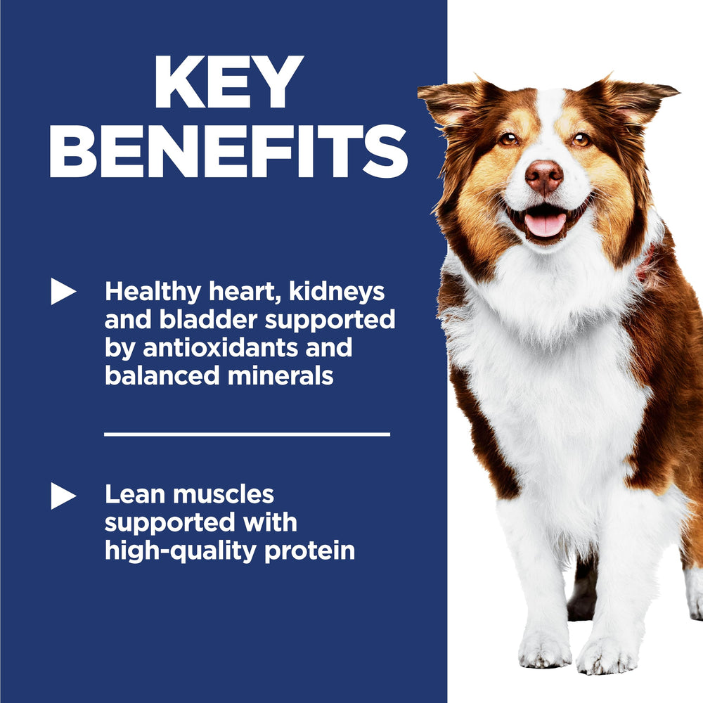 Hill's Science Diet kibble in bowl illustrating portion and appetite appeal