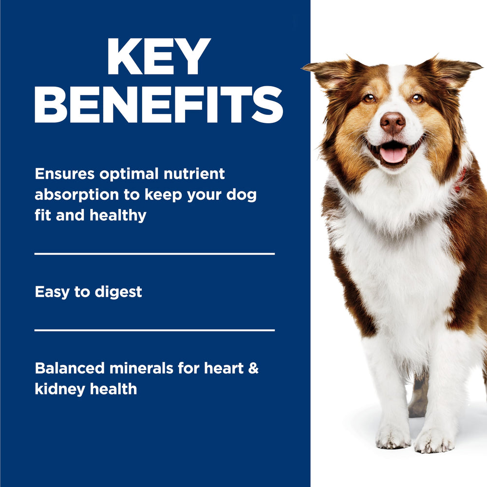 Hill's Science Diet spoonful showing soft texture that aids older dogs' eating