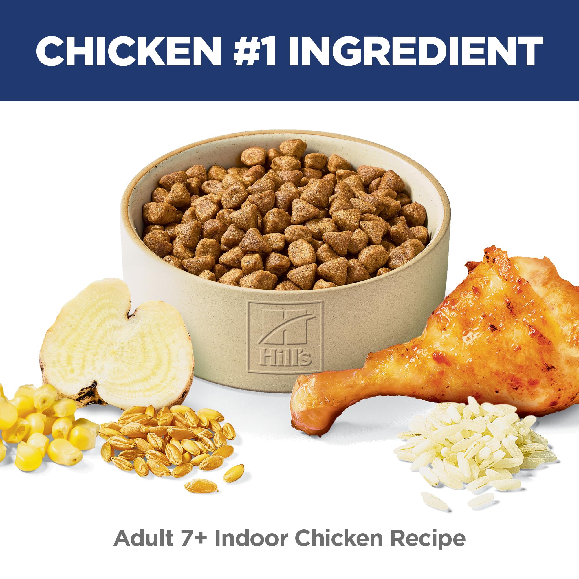 Hill's Science Diet served in bowl illustrating proper portion and control