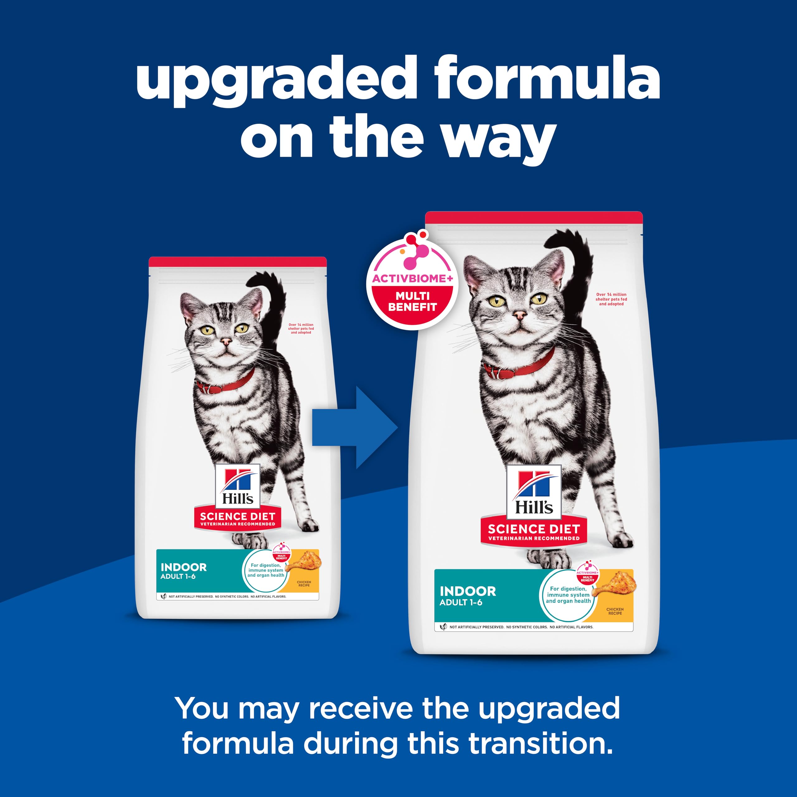 Hill's Science Diet kibble served in bowl for healthy feeding