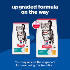 Hill's Science Diet kibble served in bowl for healthy feeding