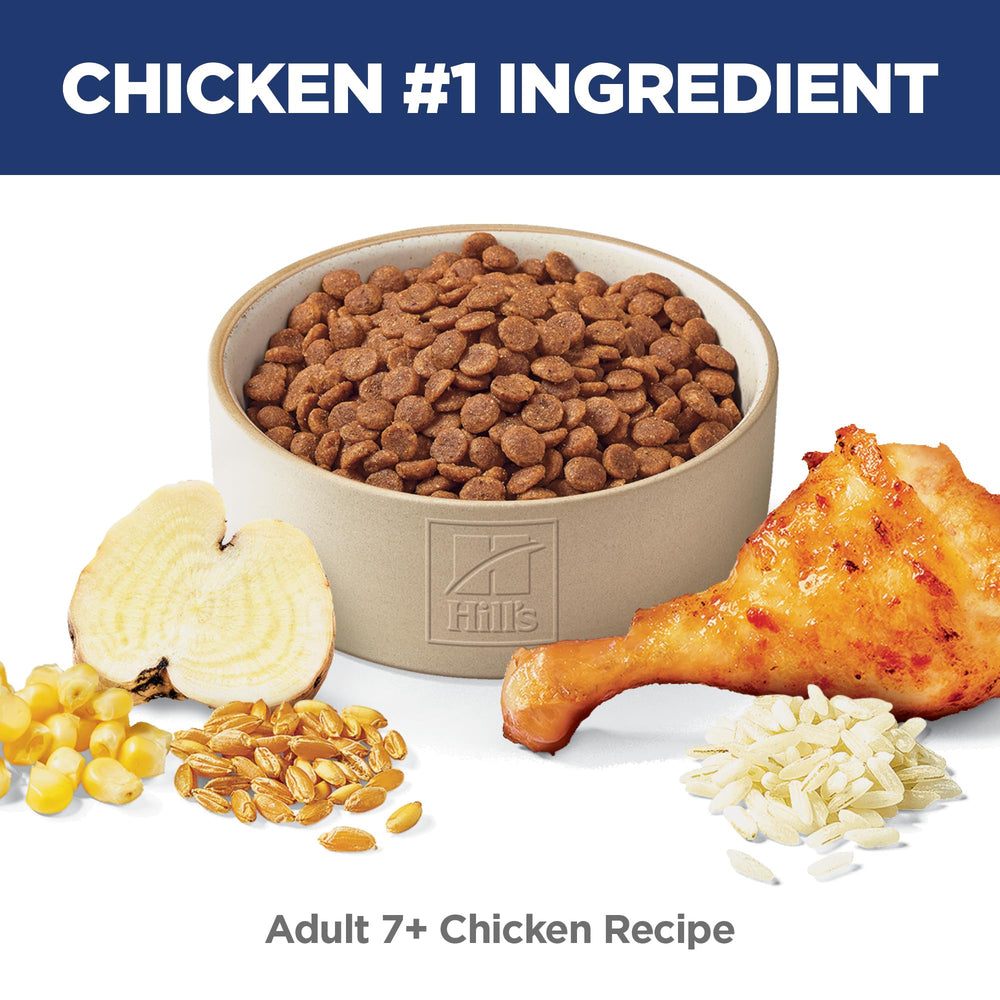 Hill's Science Diet served in bowl for older cat promoting appetizing meal