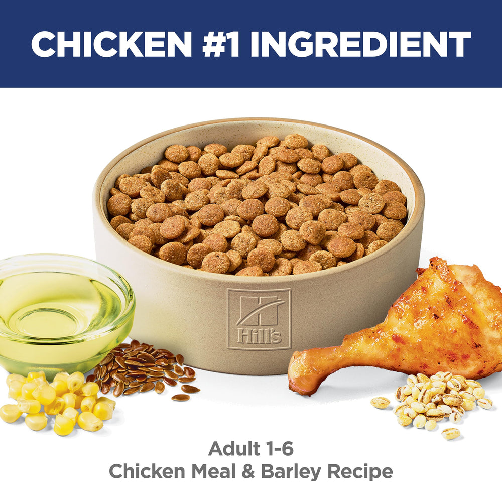 serving of Hill's Science Diet in bowl showing palatability and appeal