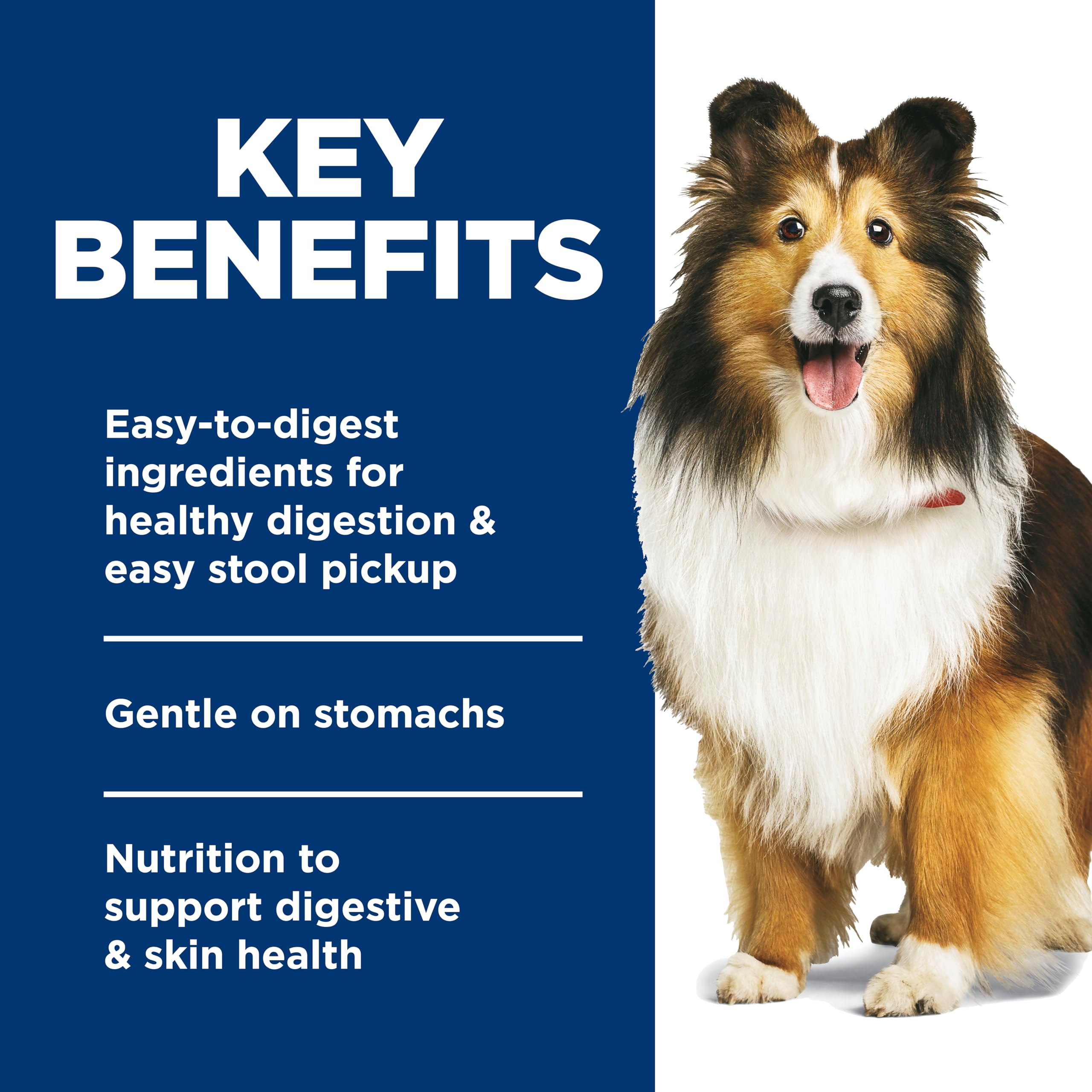 Hill's Science Diet wet stew served over kibble demonstrating meal-enhancement