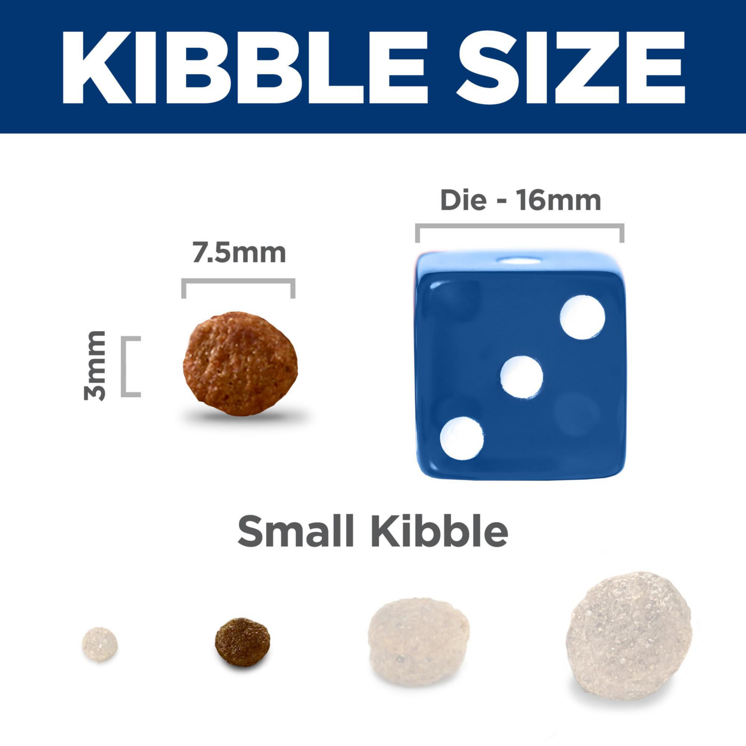 Hill's Science Diet small dog eating kibble demonstrating palatability and satisfaction