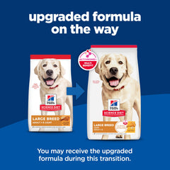 Hill's Science Diet close-up kibble texture promoting palatability