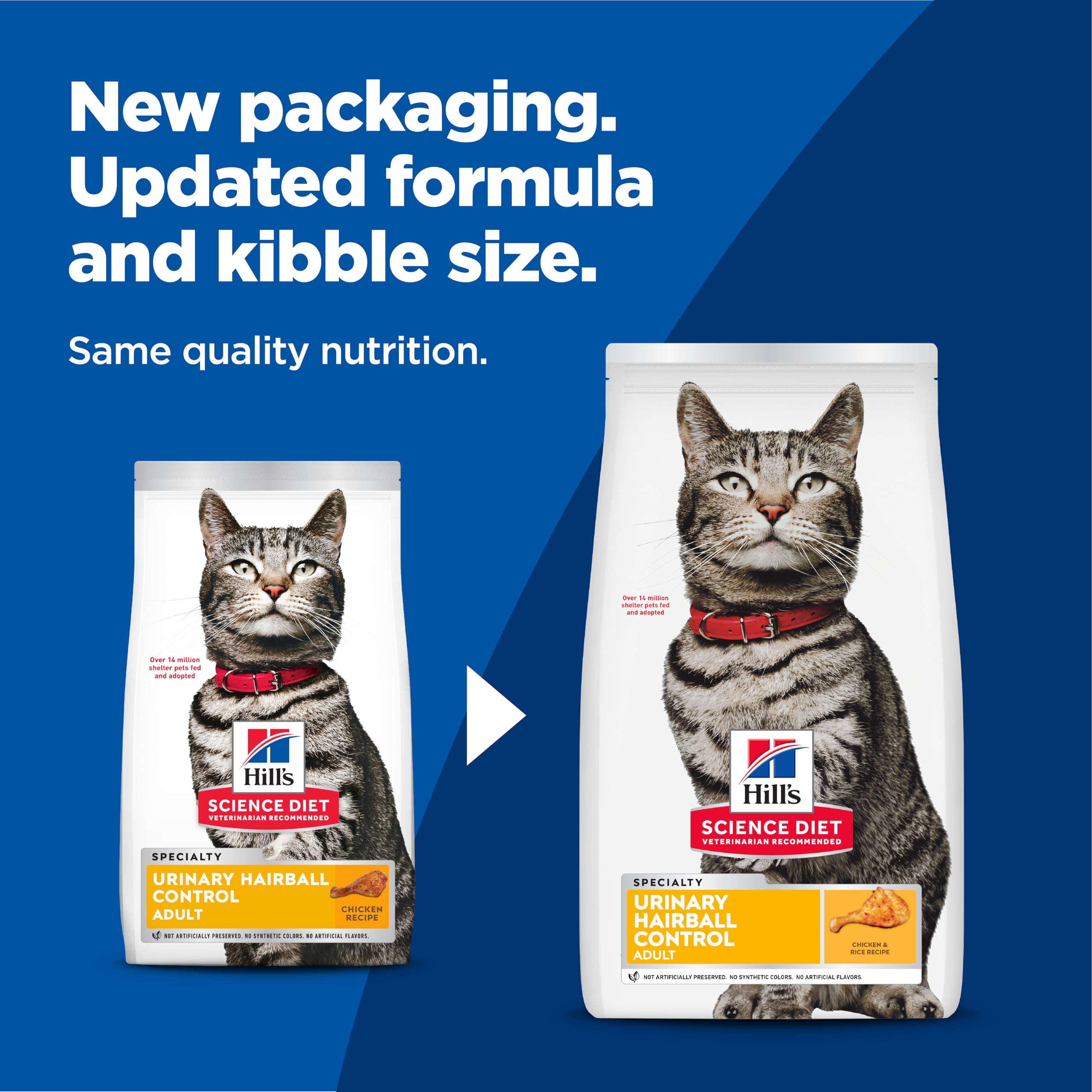 Hill's Science Diet kibble close-up highlighting crunchy texture