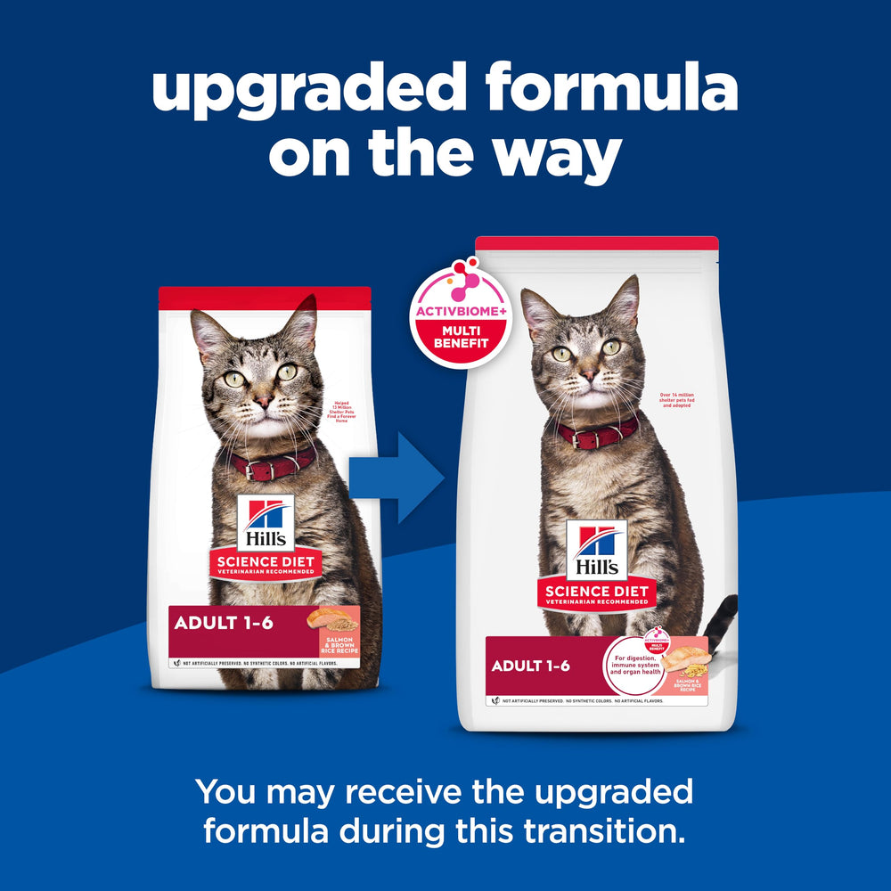 Hill's Science Diet kibble close-up highlighting digestible texture