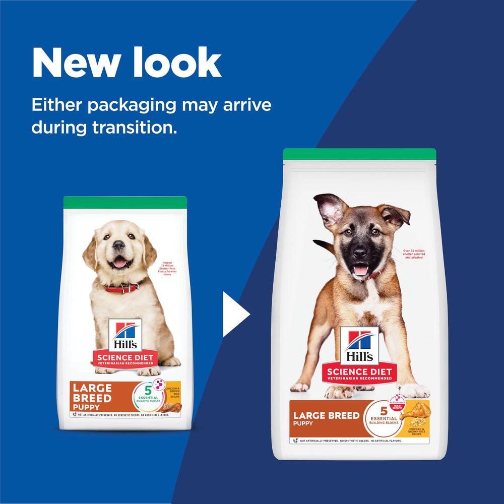 Hill's Science Diet kibble close-up highlighting texture and quality