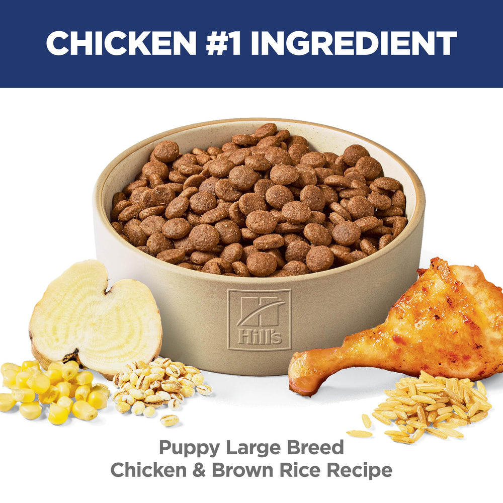 Hill's Science Diet kibble next to a coin showing appropriate size