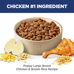 Hill's Science Diet kibble next to a coin showing appropriate size