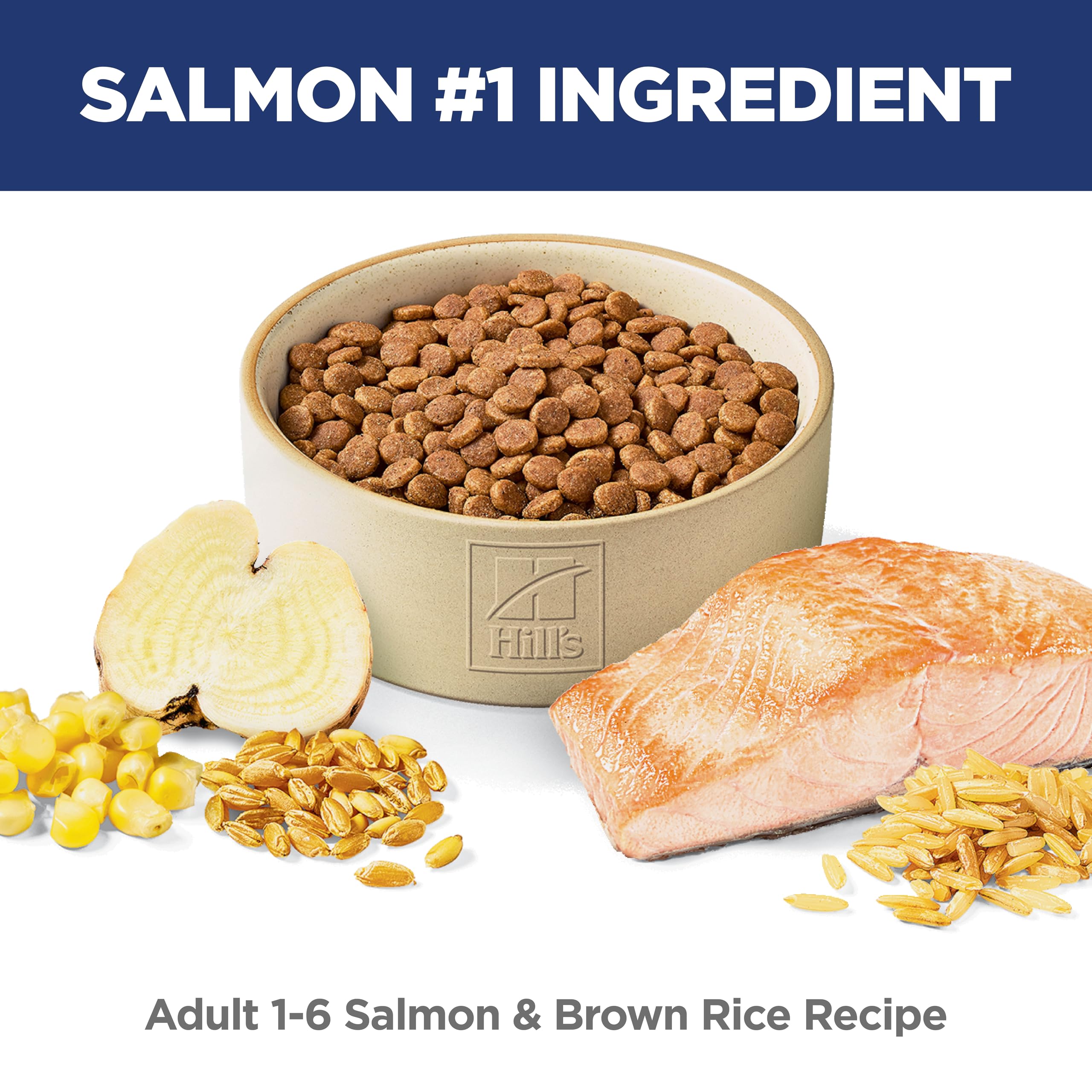 Hill's Science Diet kibble texture detail demonstrating crunchy bite