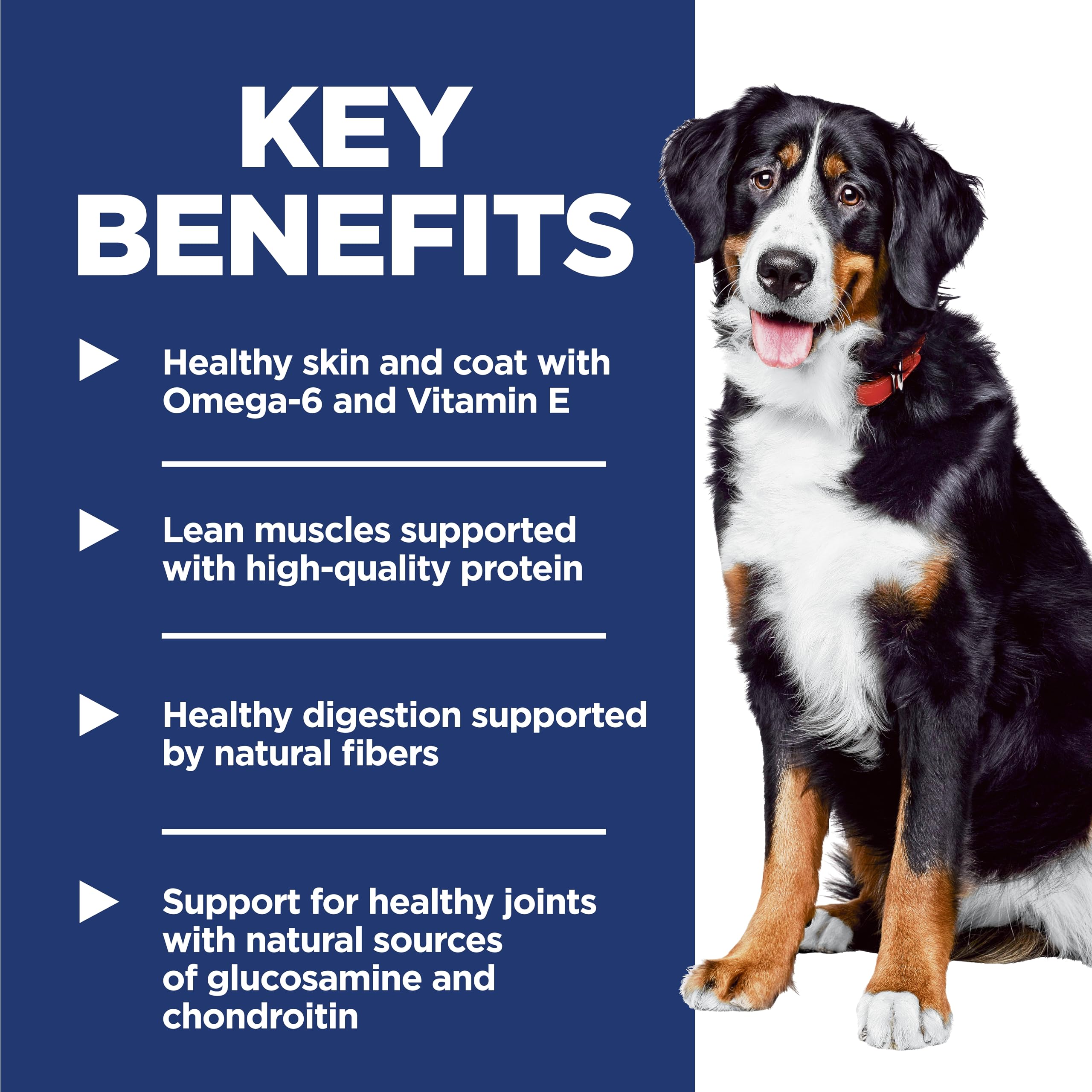 Hill's Science Diet bag label detail with feeding guidelines and guarantees