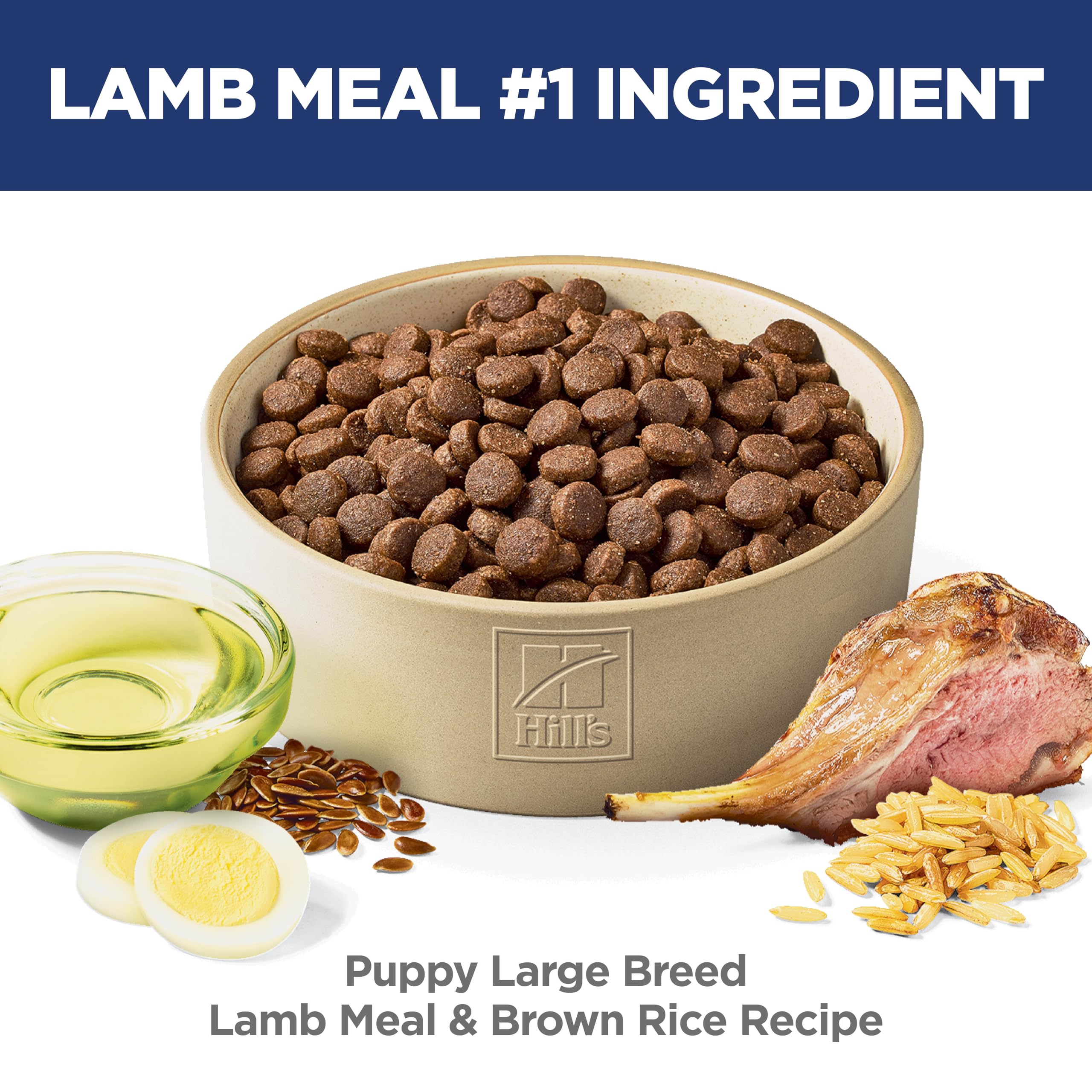 Hill's Science Diet lamb ingredient close-up highlighting protein source benefit