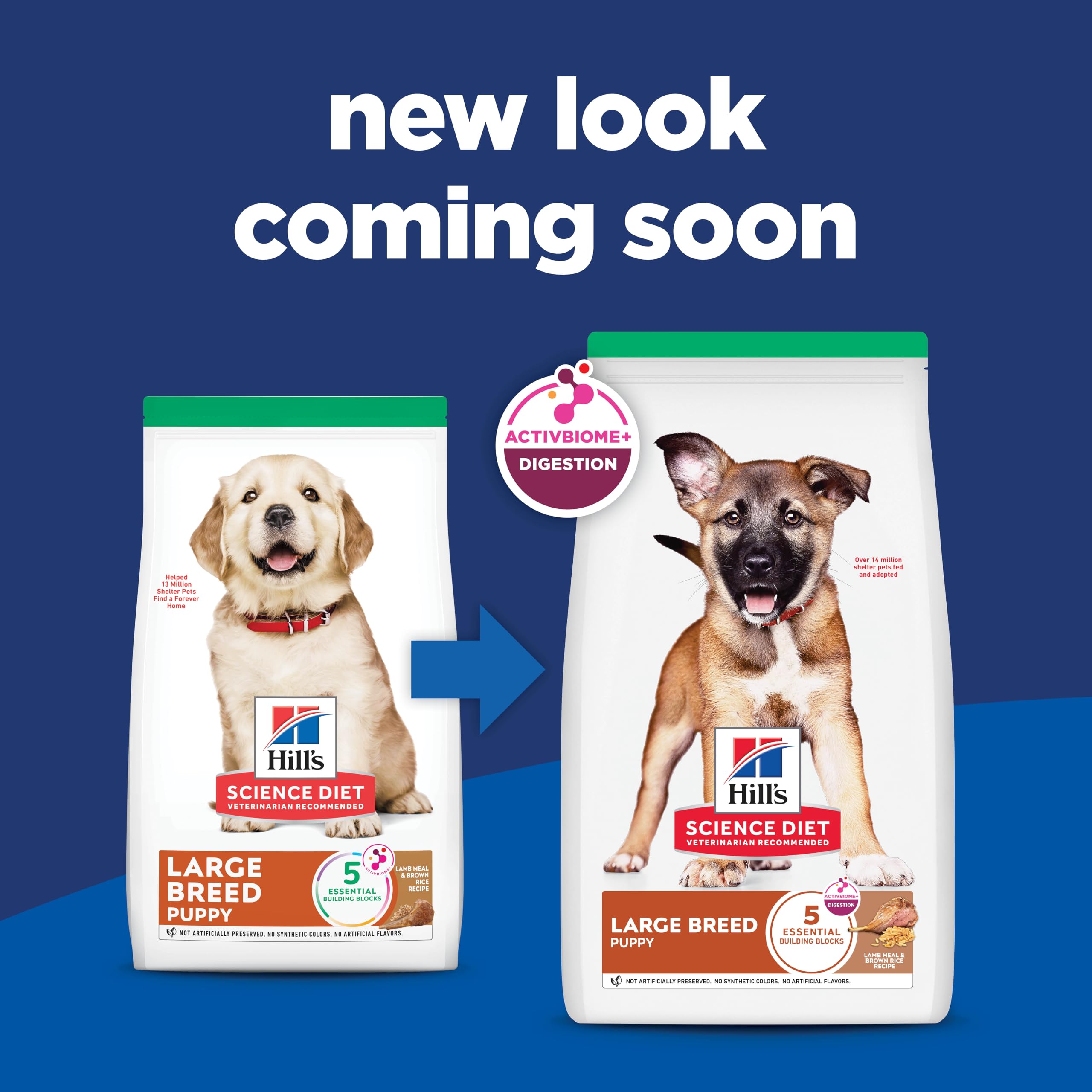 Hill's Science Diet kibble close-up showing texture and digestibility benefit