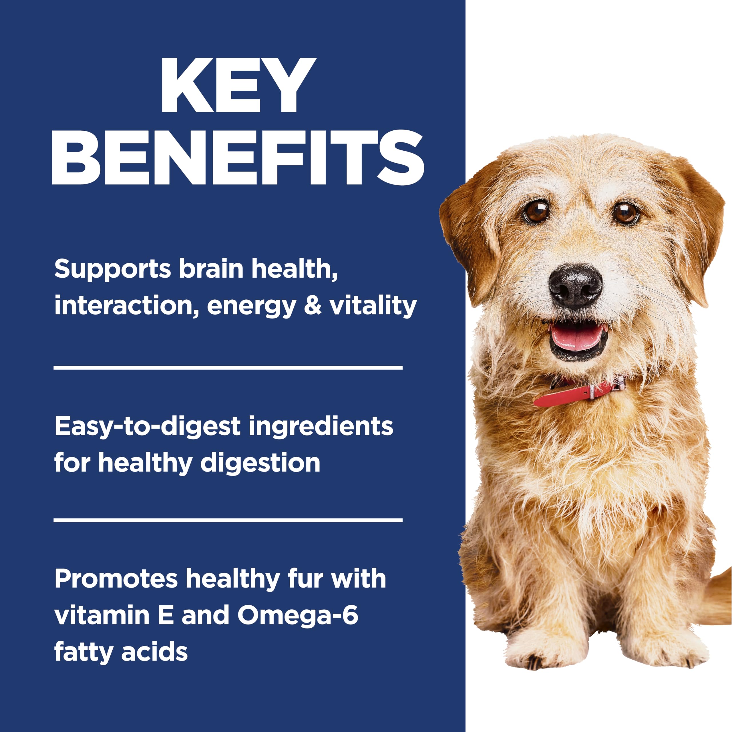 Hill's Science Diet small dog eating demonstrating palatable senior formula