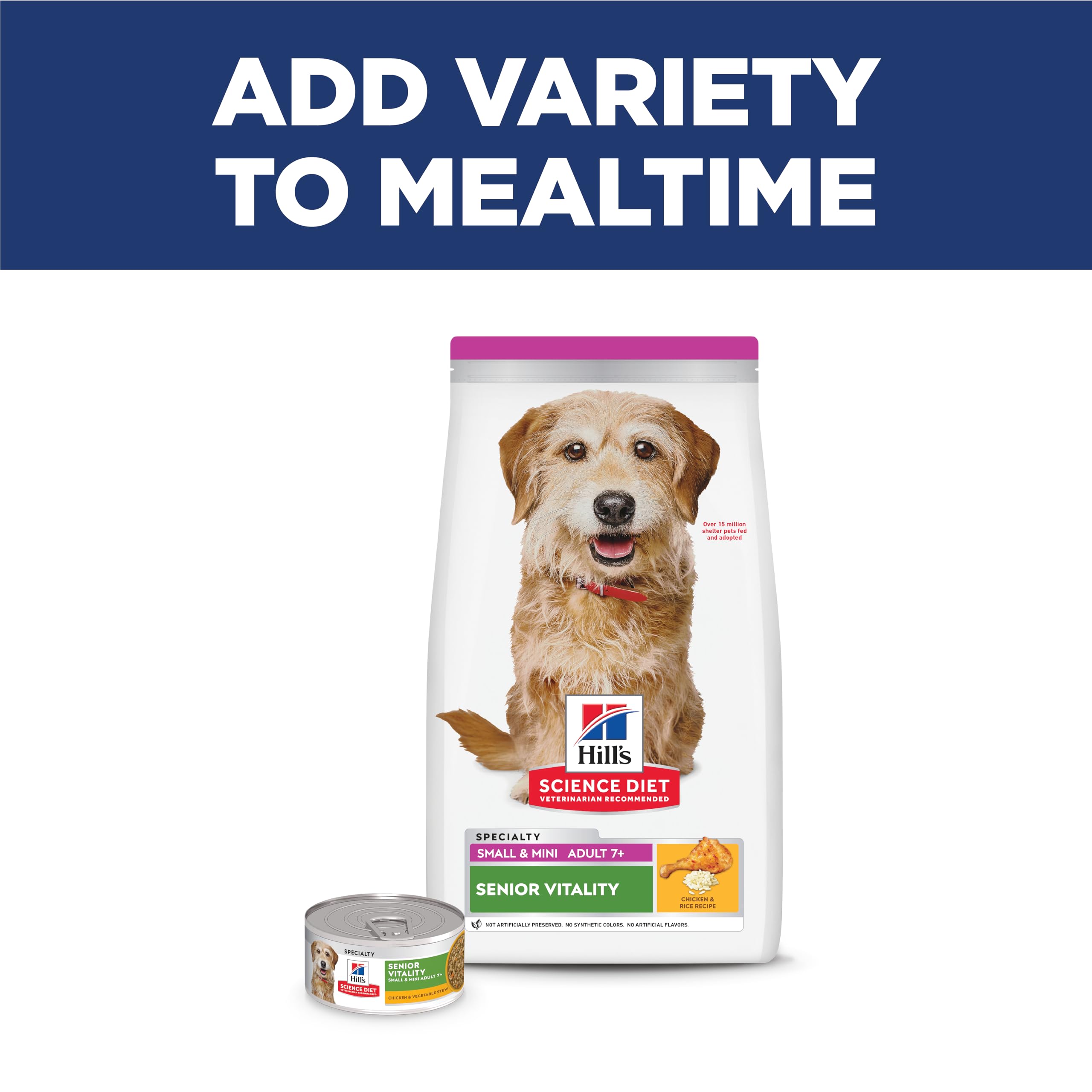 Hill's Science Diet senior small dog playing showing maintained energy and vitality