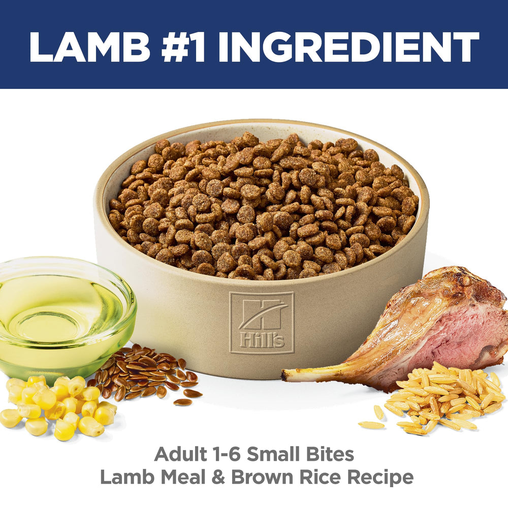 Hill's Science Diet kibble next to a coin to show small size and portion control