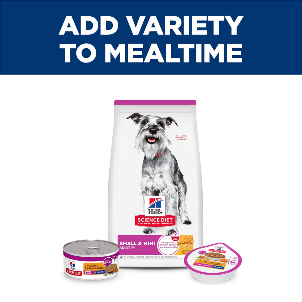 Hill's Science Diet lifestyle image of senior small dog enjoying meal