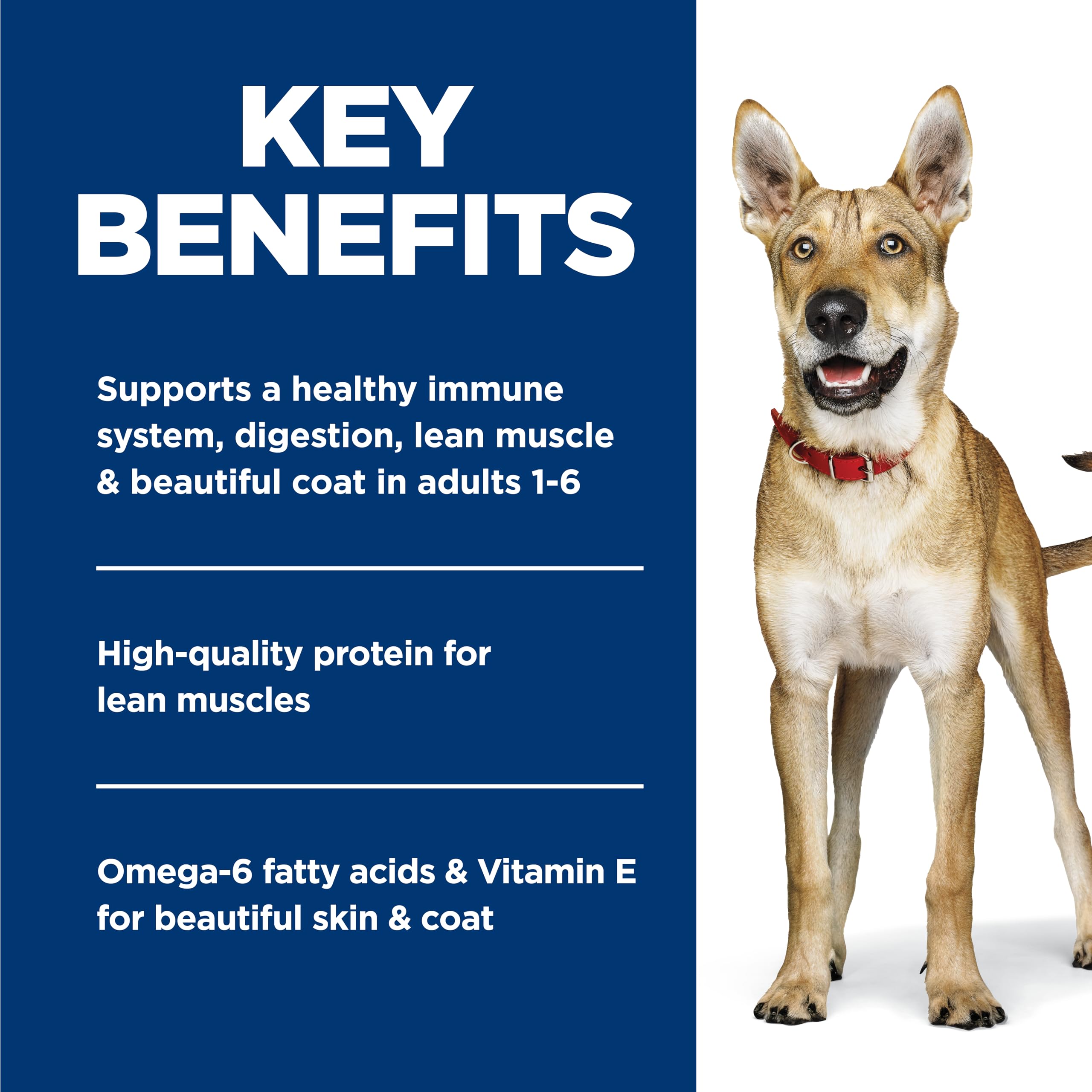 Can label detail of Hill's Science Diet showing guaranteed analysis and quality badge