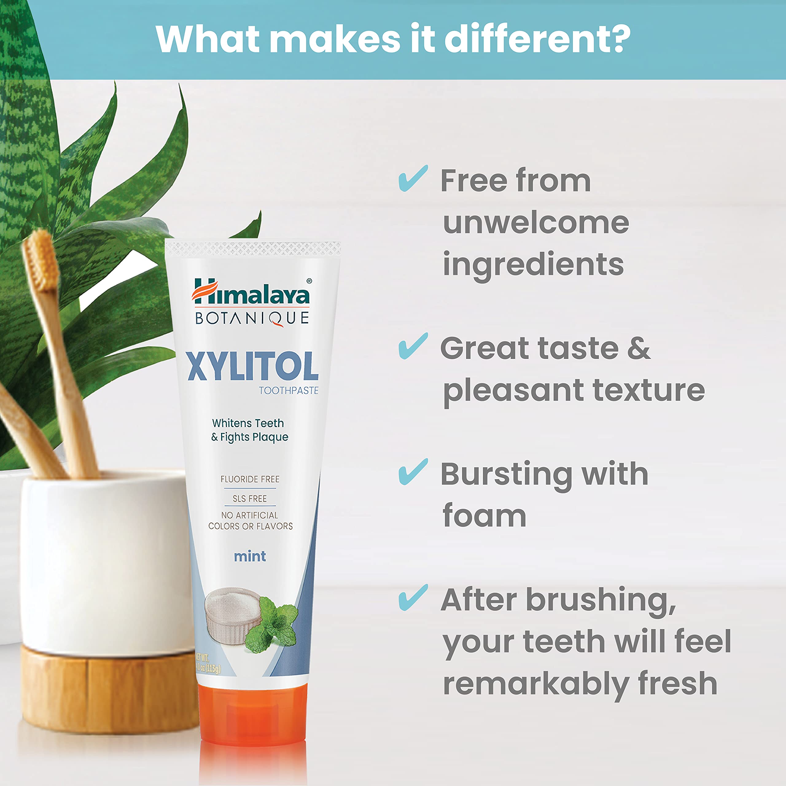 Himalaya ingredient display with pineapple papaya and xylitol highlighting natural enzymes