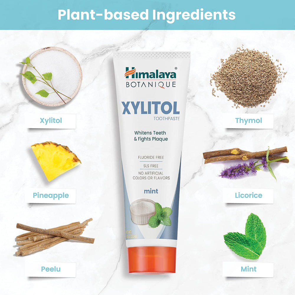 Himalaya toothpaste tube inside travel toiletry bag for on-the-go freshness