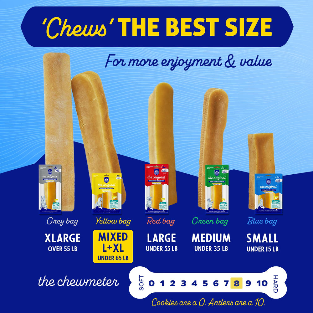 Himalayan Dog Chew held in hand for size comparison showing appropriate portion for under 65 lb dogs