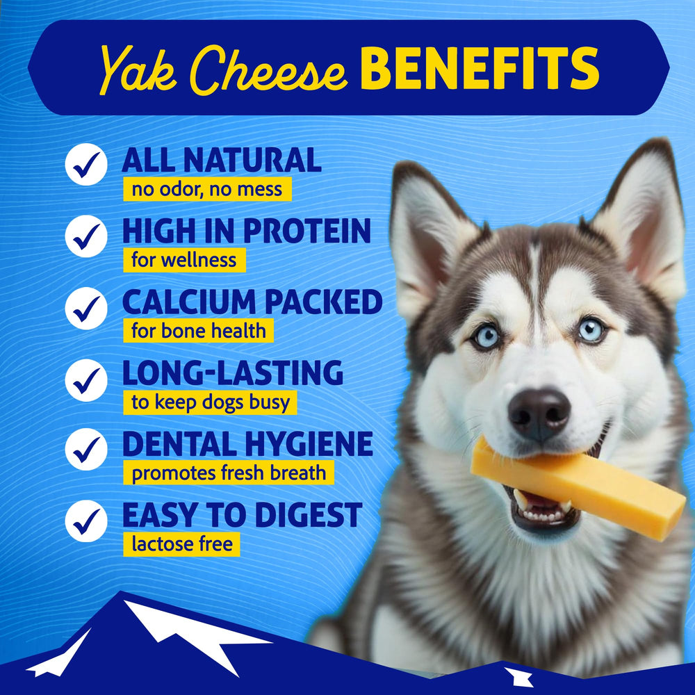 Himalayan Dog Chew close-up of stick texture highlighting long-lasting chew quality