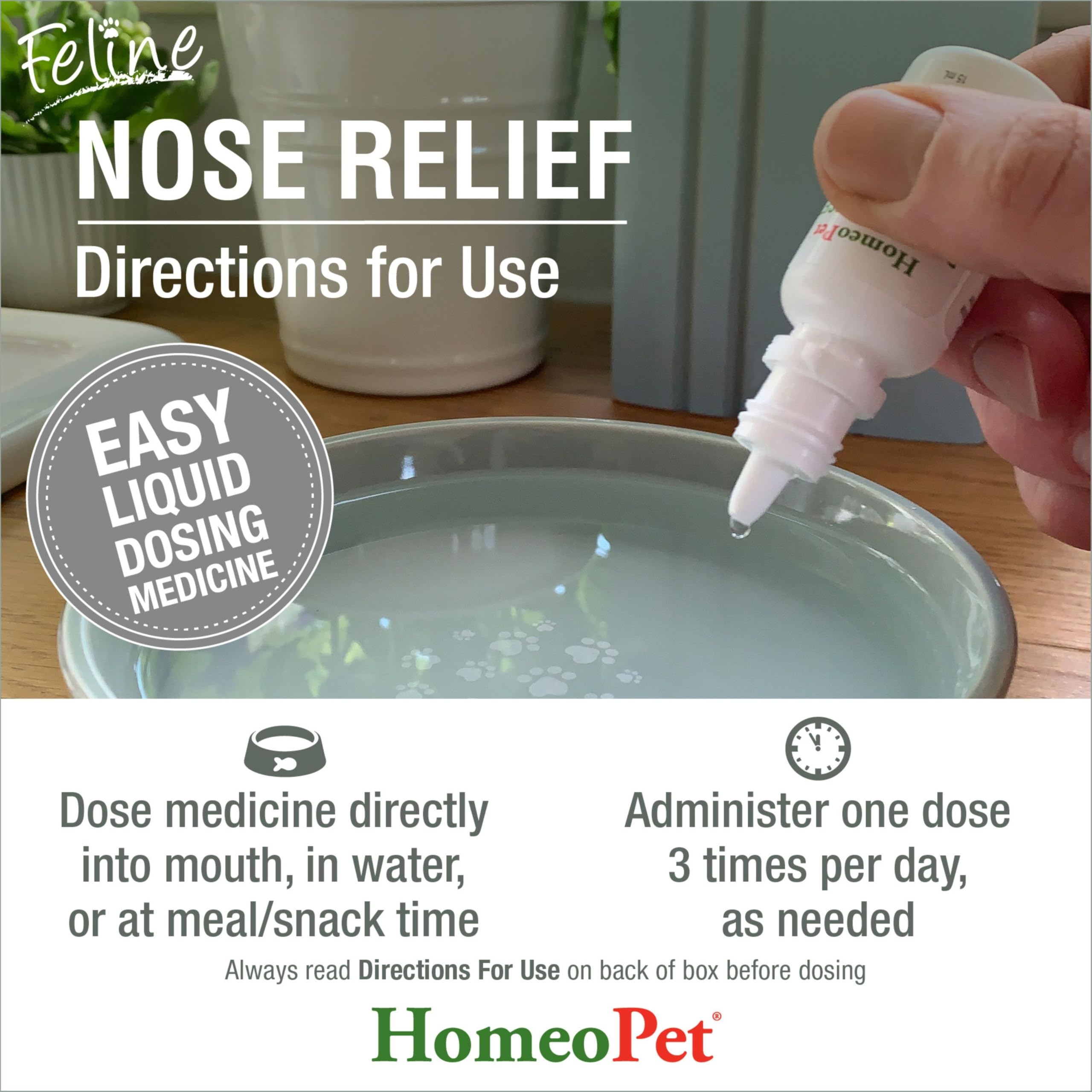HomeoPet administering drops to a cat for calmer breathing and comfort