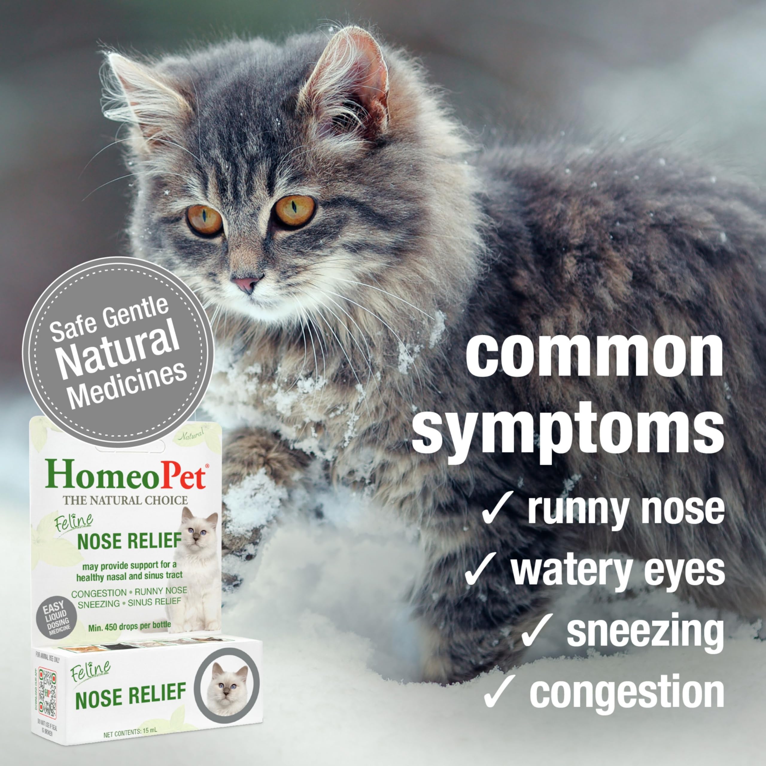 HomeoPet drops pouring into water to illustrate simple mixing option