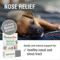 HomeoPet label close-up highlighting dosing and homeopathic details