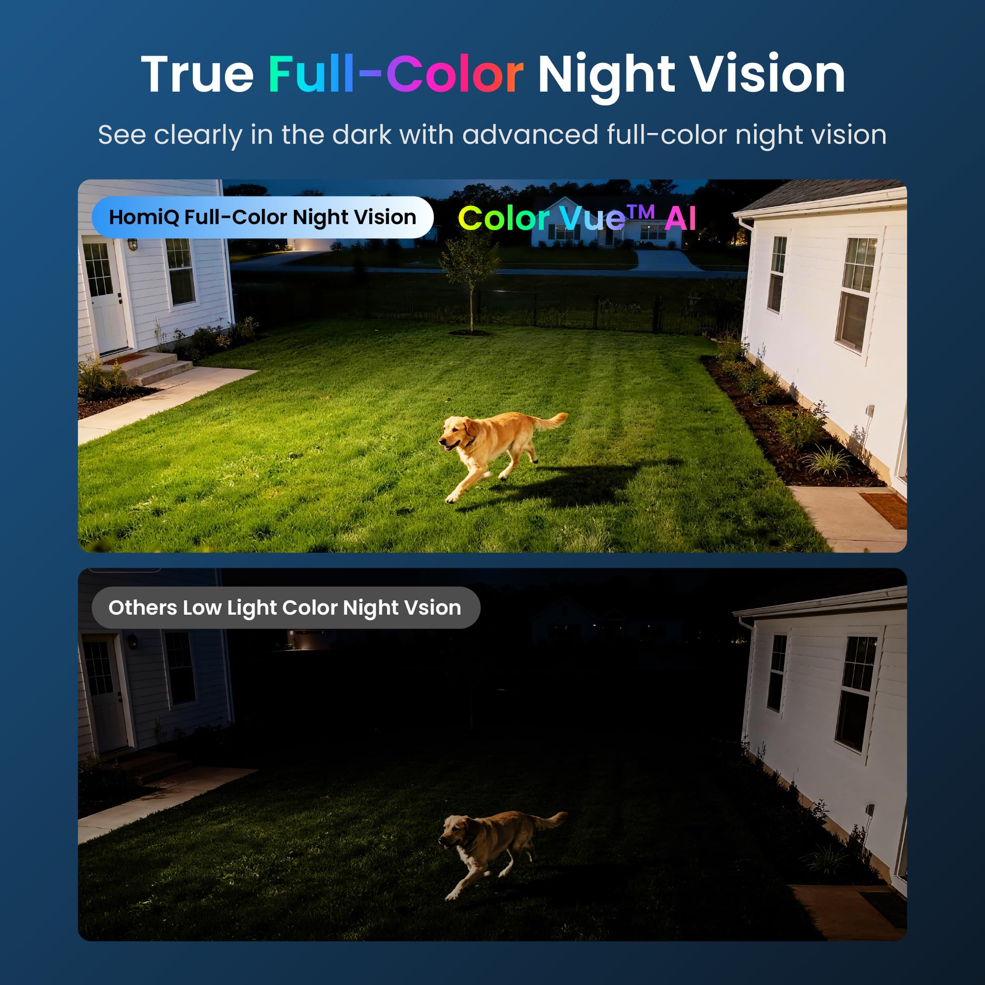 HOMIQ LIFE live feed displayed on smartphone app showing multi-camera view and remote monitoring