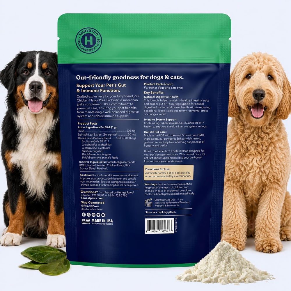 Dog eating bowl with Honest Paws powder mixed in, promotes digestion support