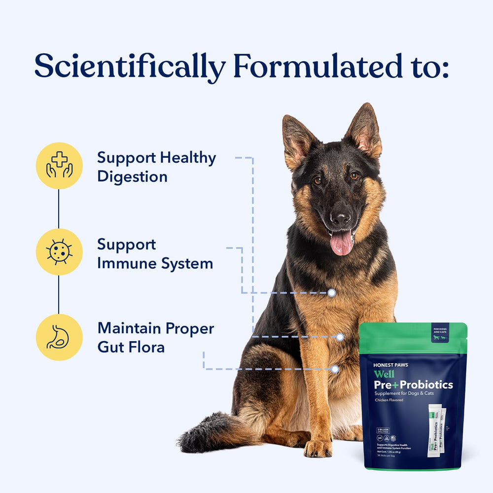 Honest Paws open single-serve packet with powder, easy daily dosing benefit