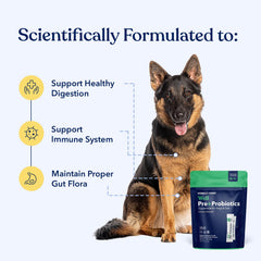 Honest Paws open single-serve packet with powder, easy daily dosing benefit