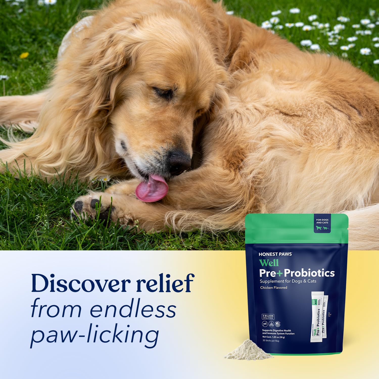 Honest Paws packet held in hand to show scale and single-serve convenience