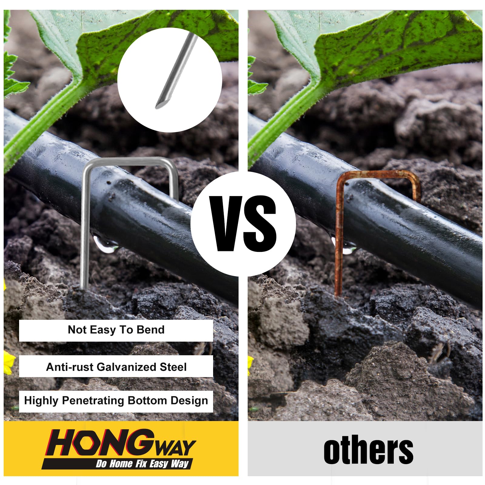 HongWay staple beside ruler showing six-inch length for deep anchoring