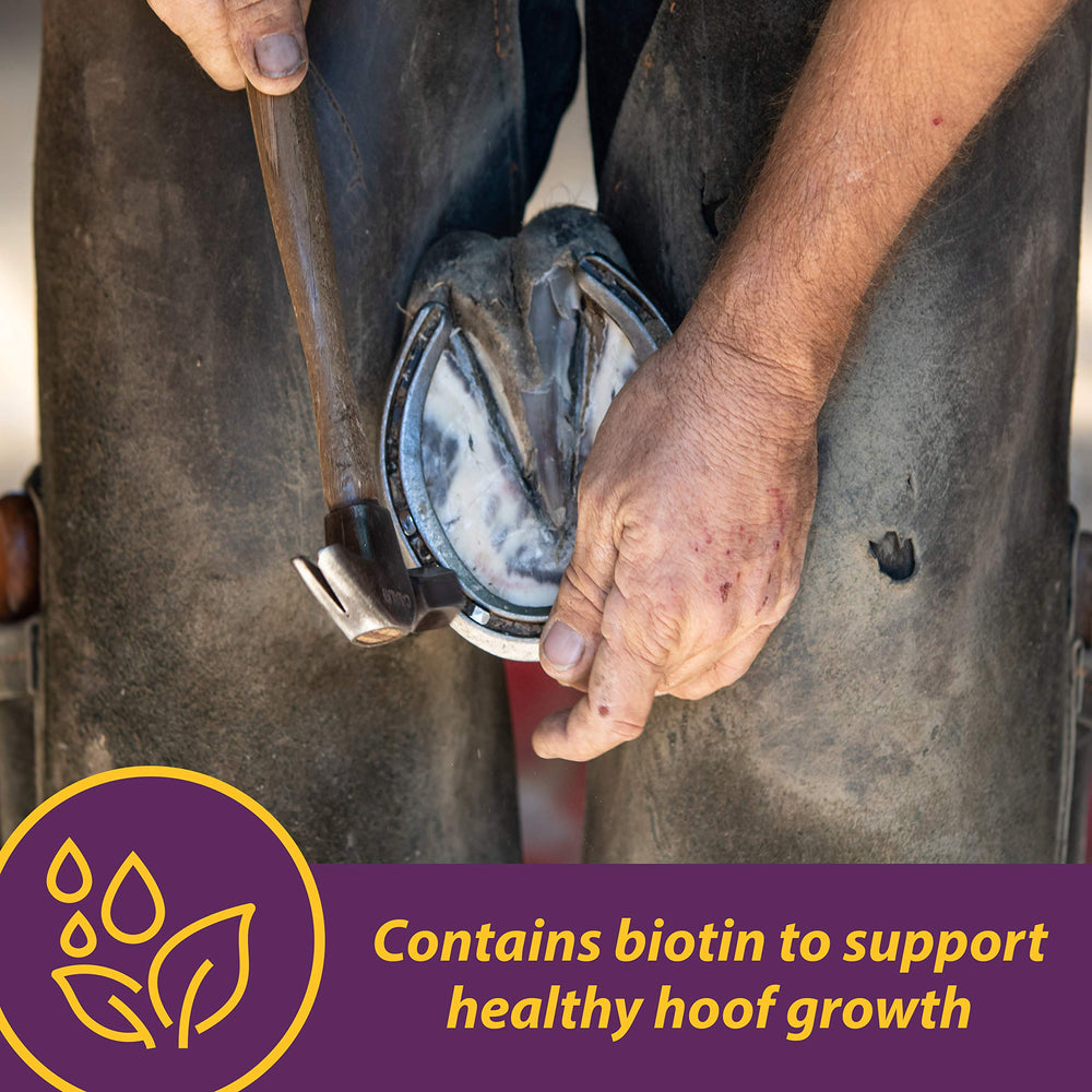 Horse Health crumbles mixed in feed bowl illustrating consistent consumption