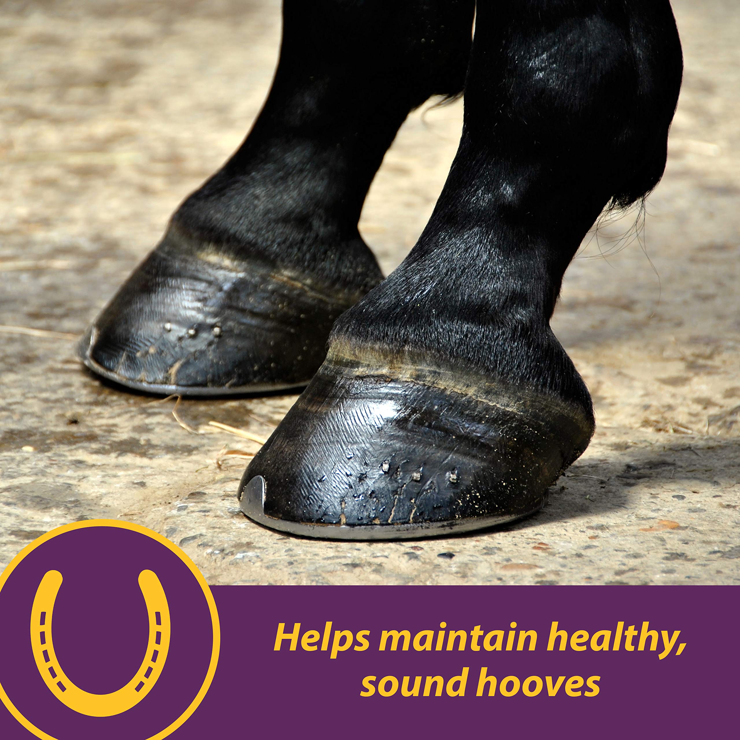 Horse Health close-up of crumble texture showing easy mixing and intake